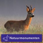 opening oerr speeltuin natuurmonumenten, plaatsing stretchtent door windcirkeltenten