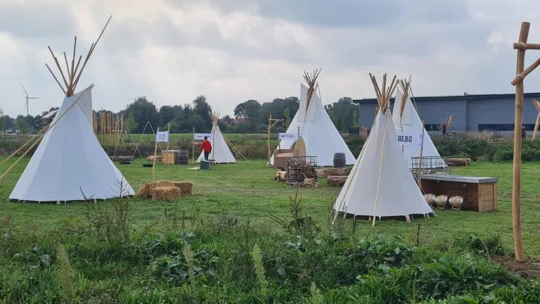 Verschillende afmetingen tipi's op groen grasveld voor een bedrijfsfeest.